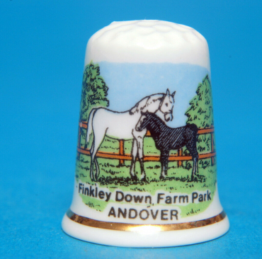 Finkley-Down-Farm-Park-Andover-China-Thimble-B63-154262990903